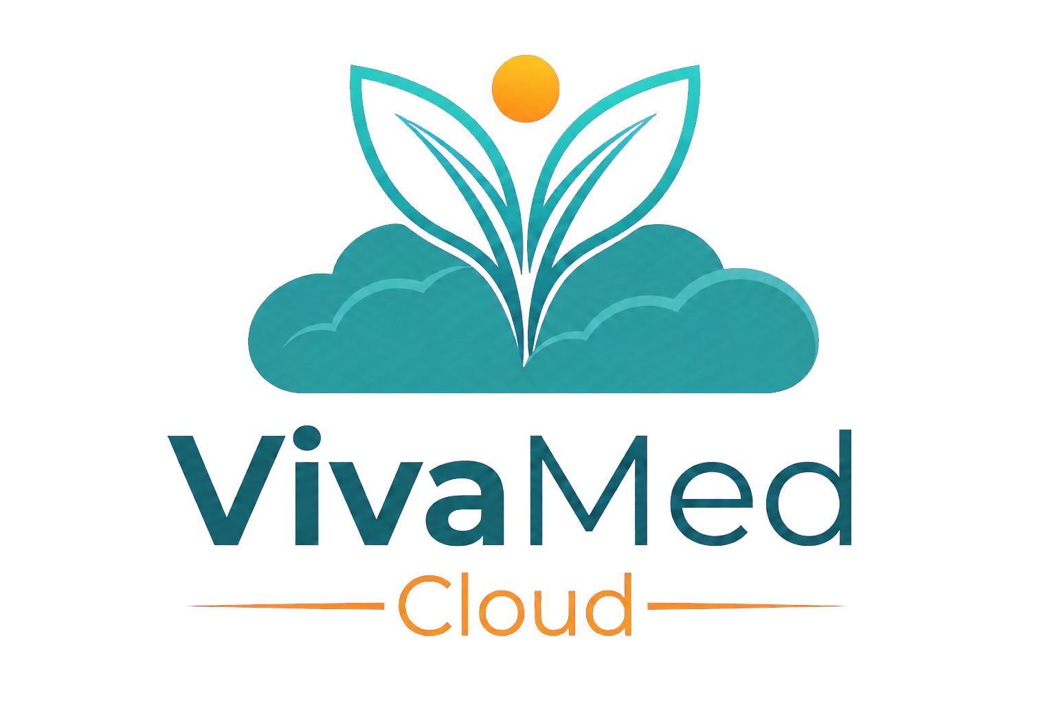 VivaMed Cloud